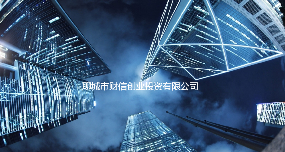 聊城市財信創(chuàng)業(yè)投資有限公司